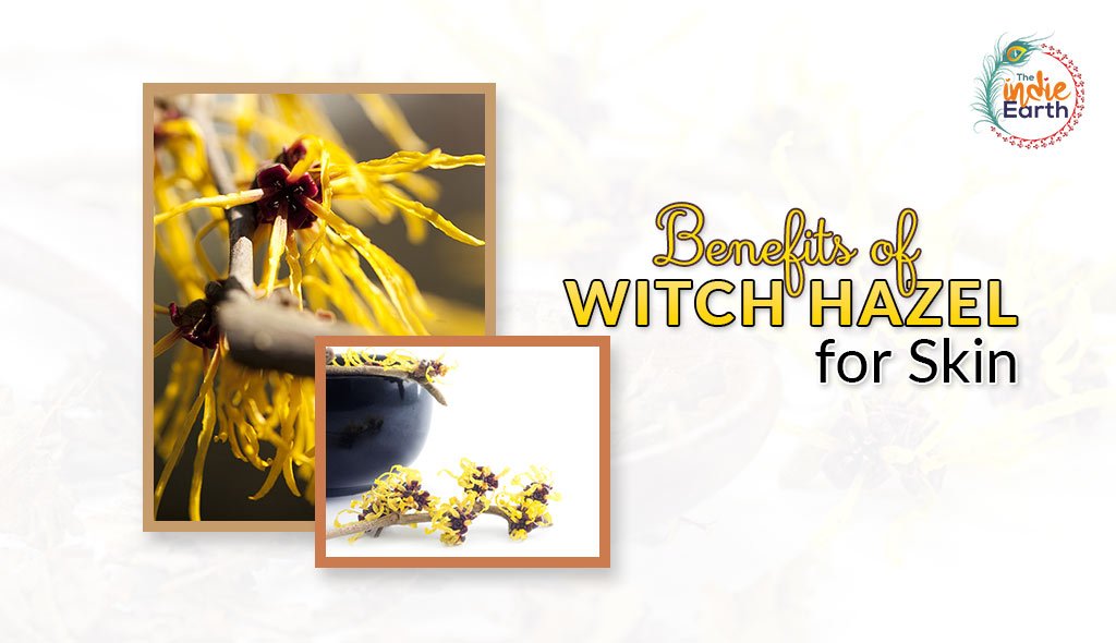 Benefits-of-Hazel-Witch-for-Skin-1