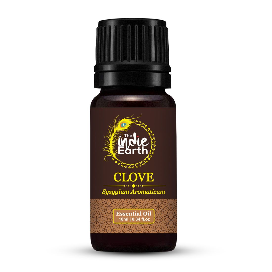 Clove-Front