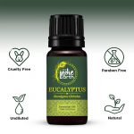 Eucalyptus-with-Ingredients