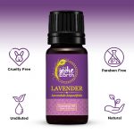 Lavender-with-Ingredients