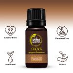 Clove-with-Ingredients