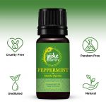 Peppermint-with-Ingredients