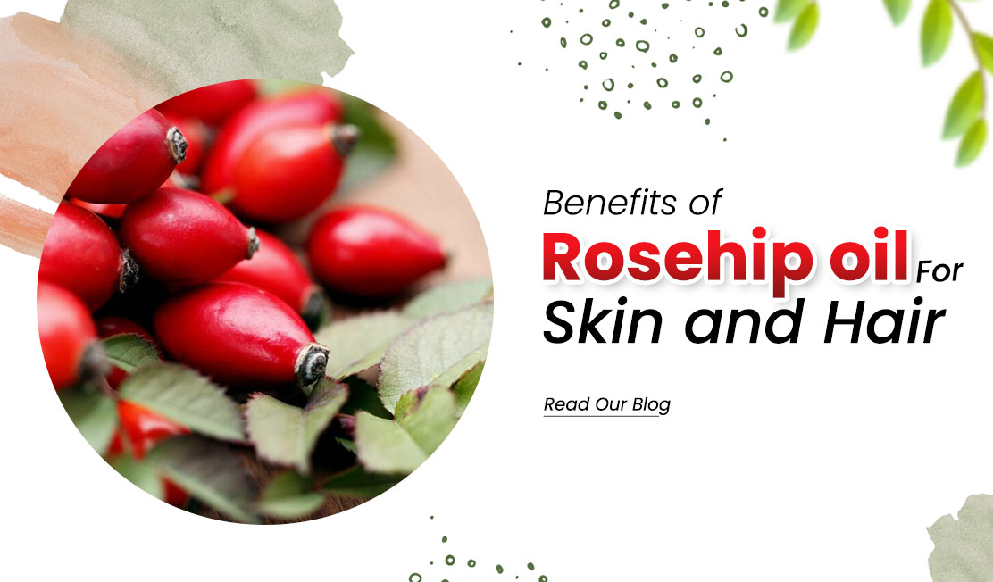 Here is how Rosehip oil benefits your skin and hair - The Indie Earth
