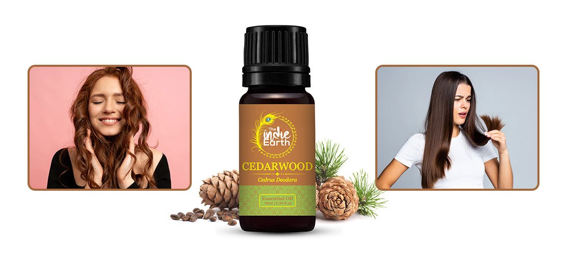 Cedarwood-Essential-Oil-1