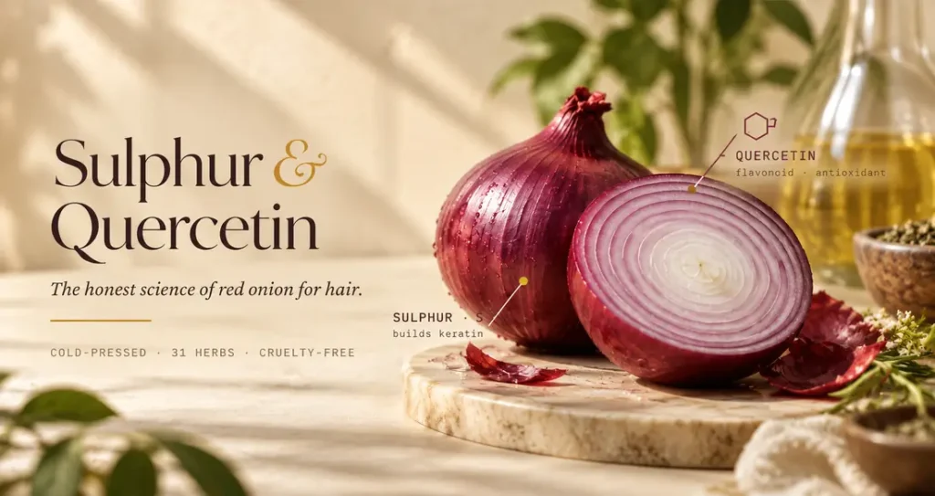 Red onion, whole and in cross-section, on marble with fresh herbs and hair oil — The Indie Earth, the sulphur and quercetin science of red onion for hair